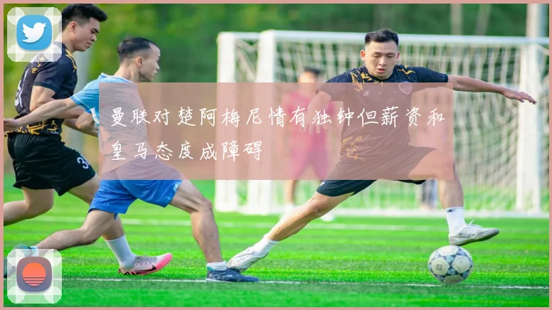 曼联对楚阿梅尼情有独钟但薪资和皇马态度成障碍